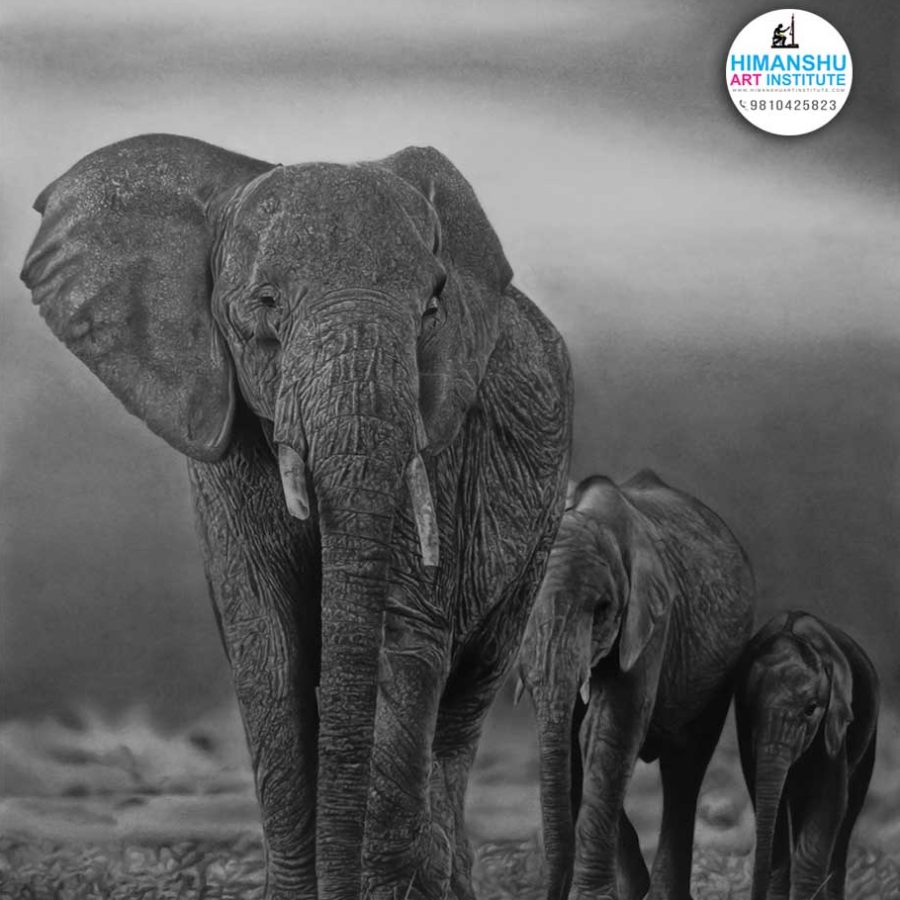 Pencil Drawing by Ayush Agnihotri, Himanshu Art Institute, Institute of Fine Arts and Crafts