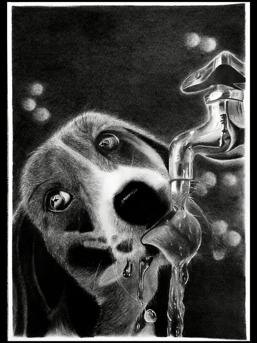 Caught between thirst and the last drop of hope.