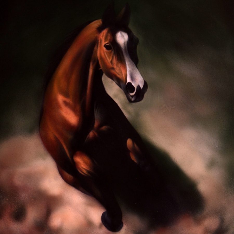 Animal Painting Artist